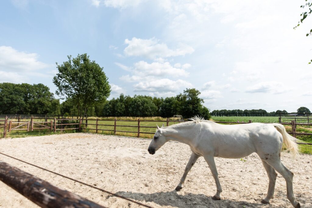 agoodplace 012 fotoshoot locaties boerderij Brabant