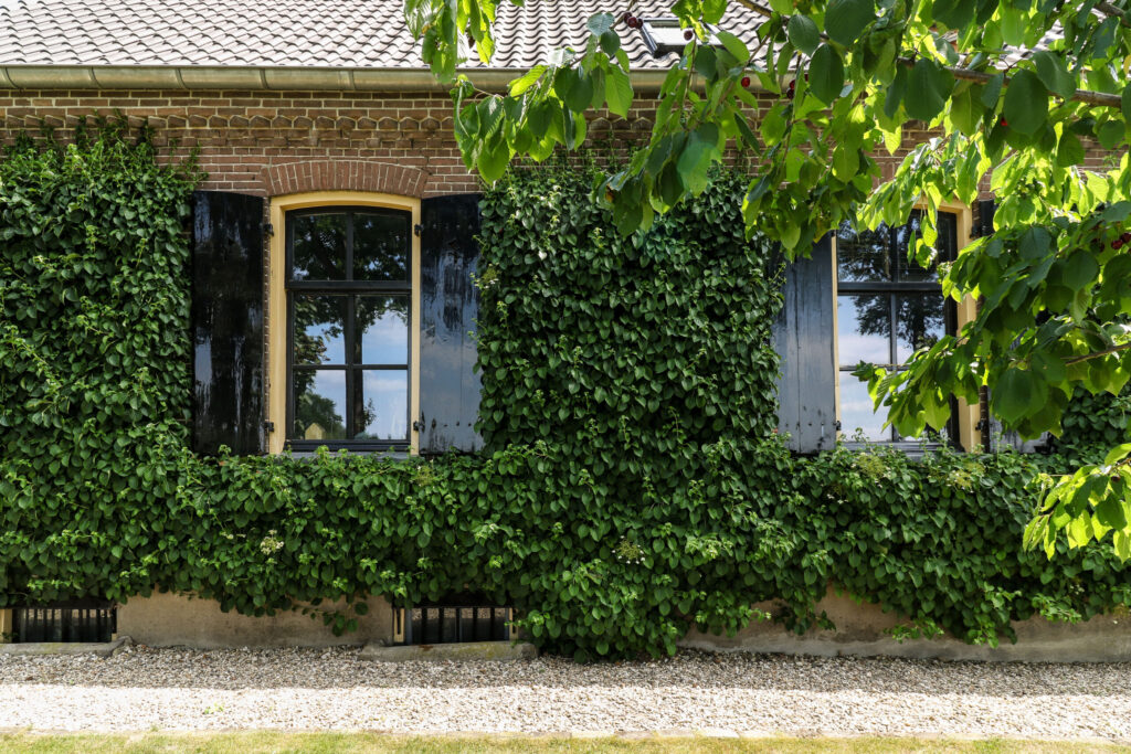agoodplace 185 Moderne Boerderij Andelst binnenlocatie fotoshoot Gelderland
