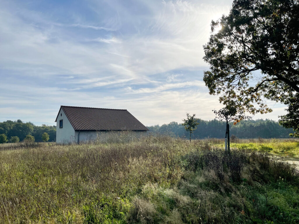 agoodplace 195 Modern Boshuis Roosendaal shoot locatie in de natuur