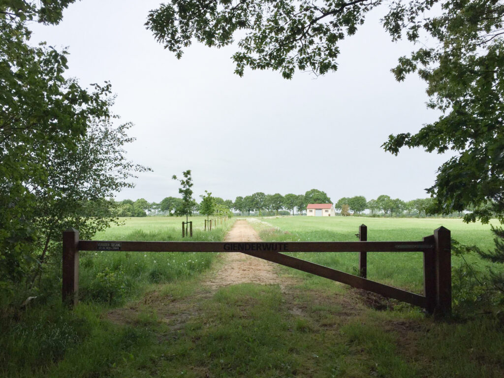 agoodplace 195 Modern Boshuis Roosendaal shoot locatie in de natuur