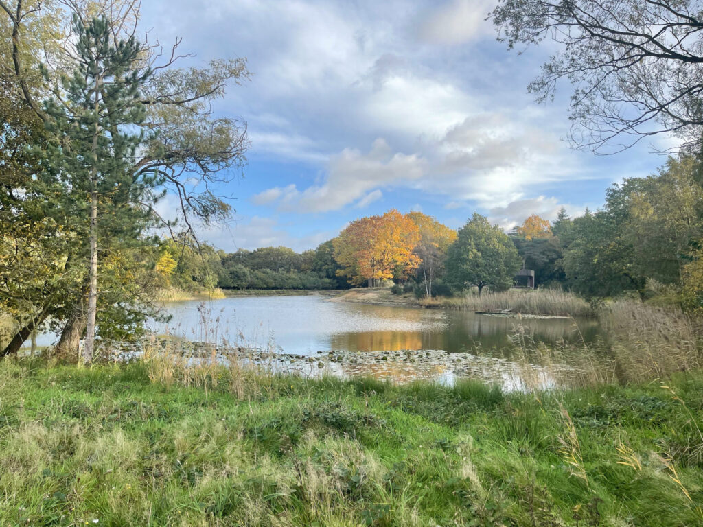 agoodplace 195 Modern Boshuis Roosendaal shoot locatie in de natuur