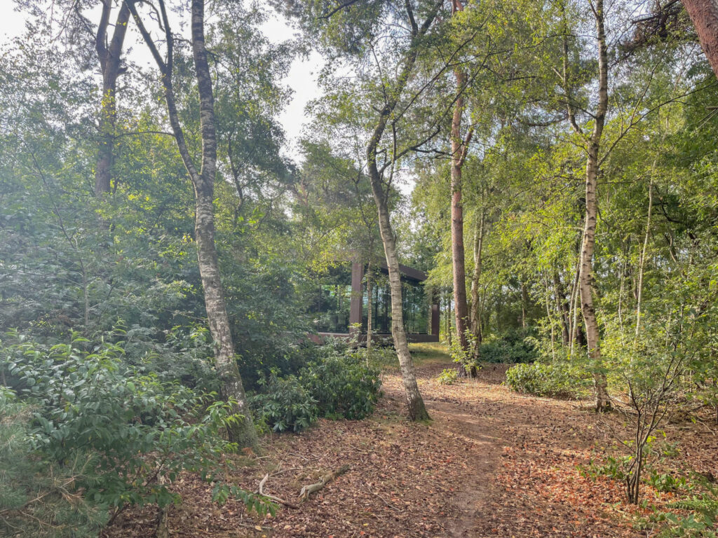 agoodplace 195 Modern Boshuis Roosendaal shoot locatie in de natuur