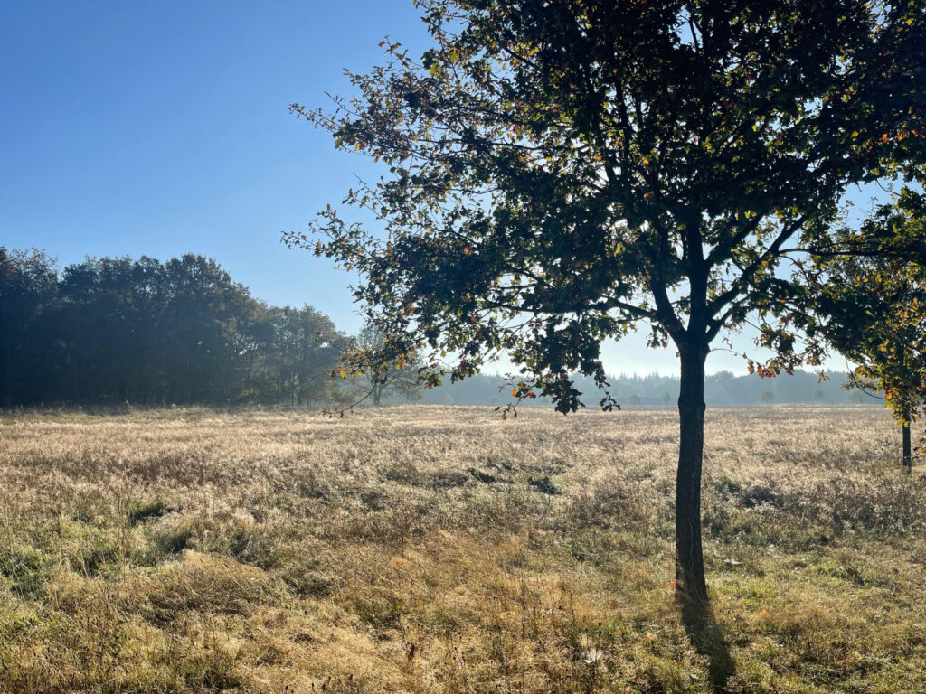 agoodplace 195 Modern Boshuis Roosendaal shoot locatie in de natuur