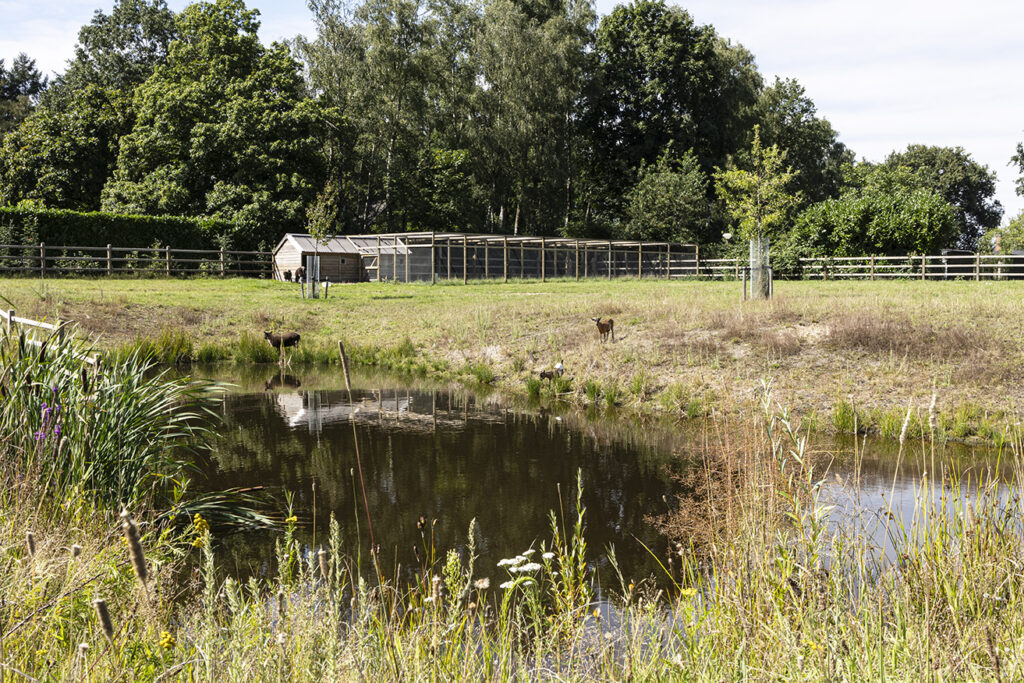 agoodplace 269 Sfeervolle Woning Schaijk moderne fotoshoot locatie