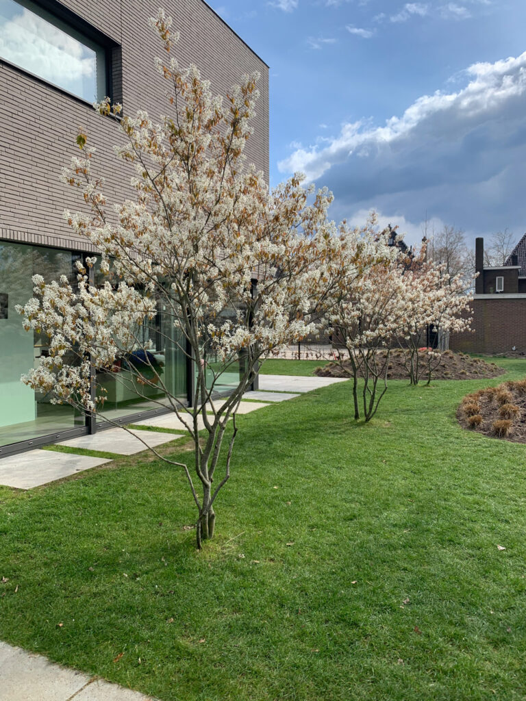 agoodplace 268 Modern Woonhuis Tilburg fotografie locaties