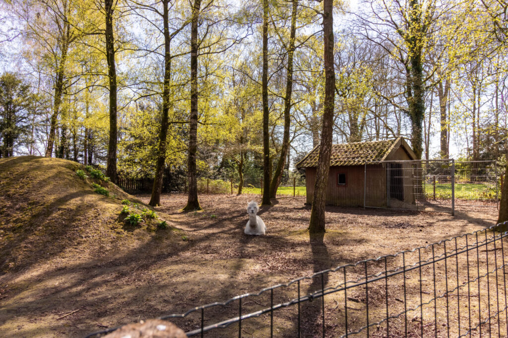 agoodplace 280 Landhuis Rheden buiten schootlocatie Gelderland